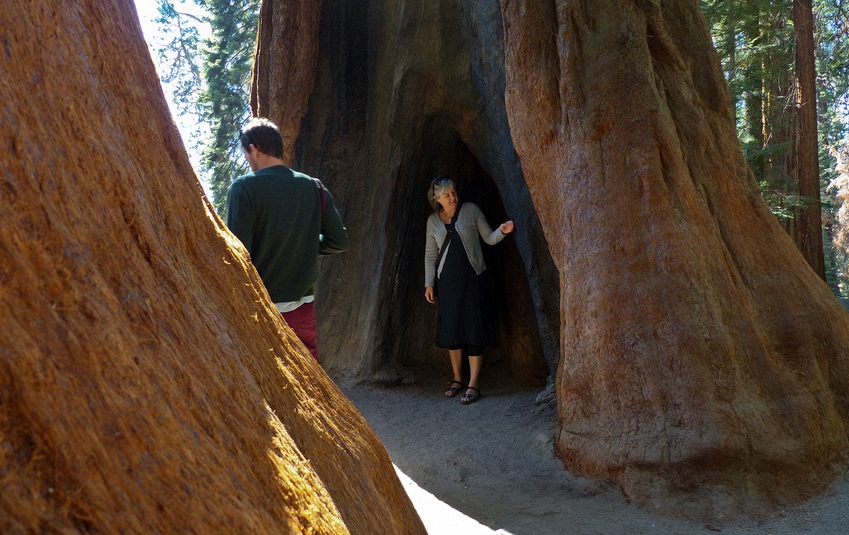Sequoia National Park